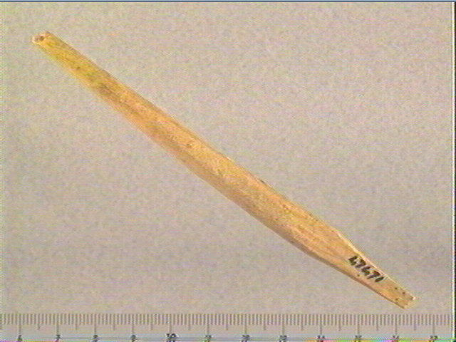 Sagaie (à biseau double)_0