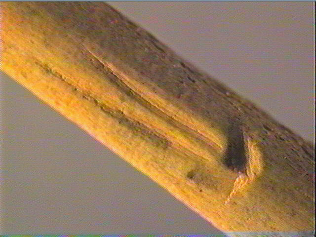 Sagaie (à biseau double)_5
