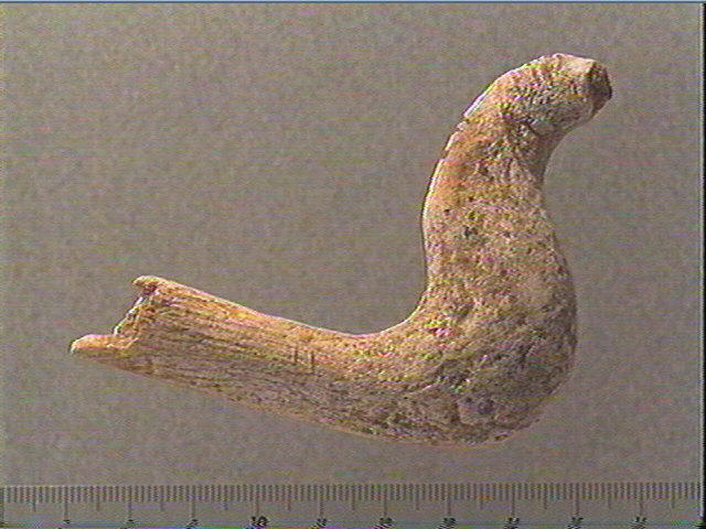 Bois de cervidé (?, fragment)_1