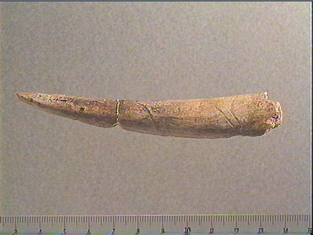 Pointe_1