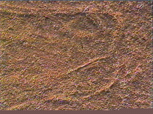 Plaquette (fragment)_6