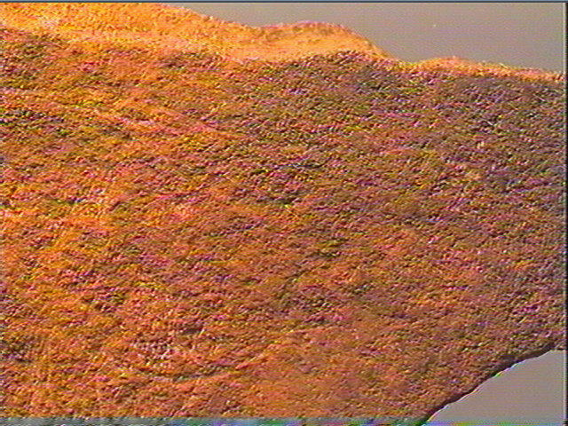 Plaquette (fragment)_5