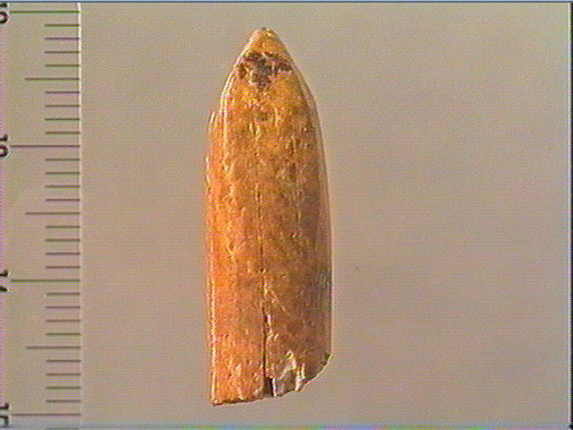 Pendeloque_3