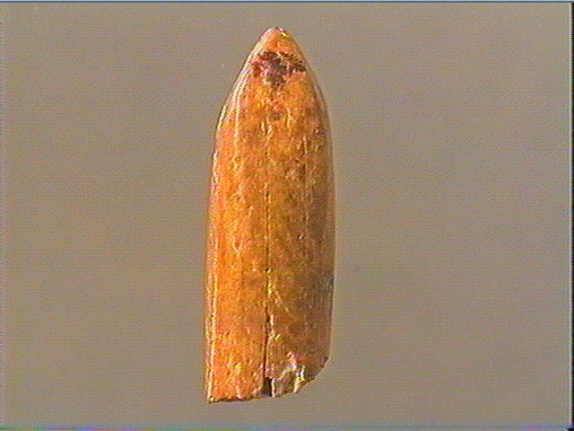 Pendeloque_4