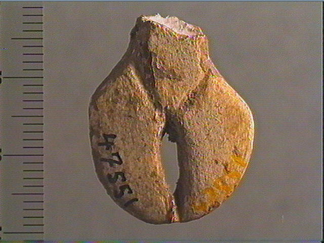 Contour découpé_1