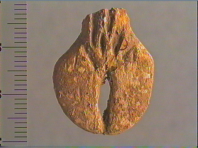 Contour découpé_2