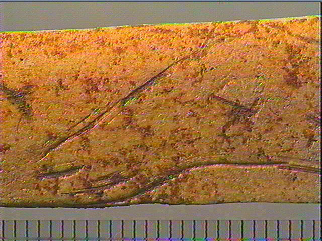 Lissoir_4