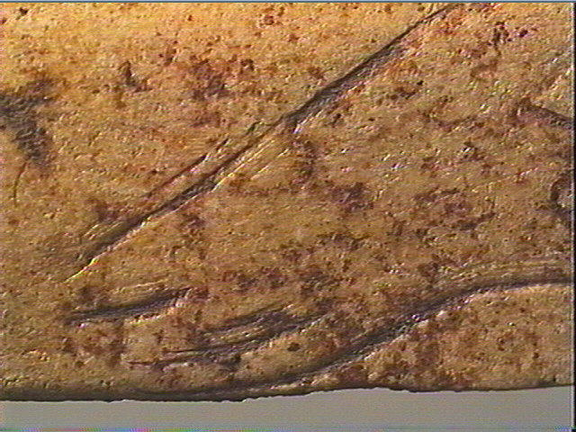Lissoir_5