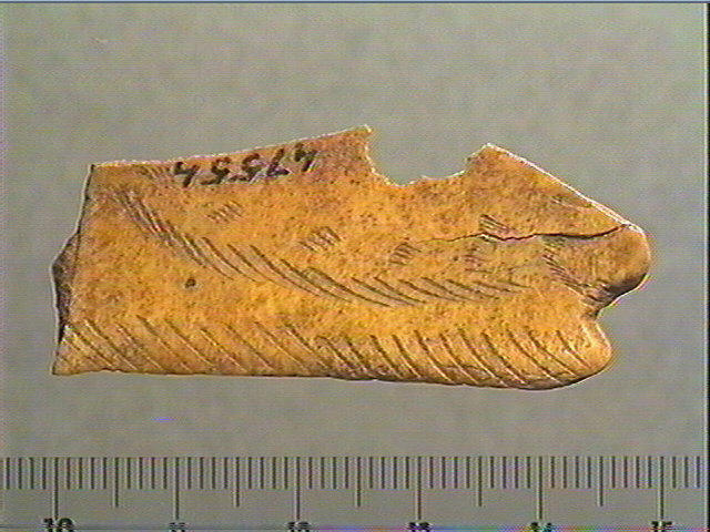 Contour découpé_0