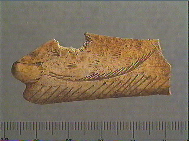 Contour découpé_1