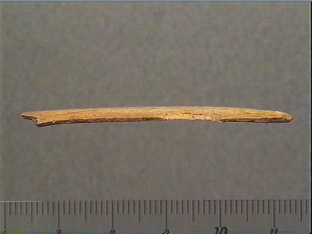 Contour découpé_2