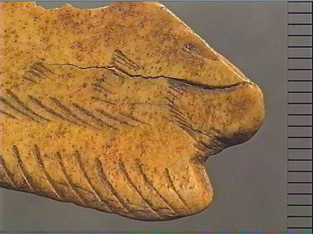Contour découpé_3
