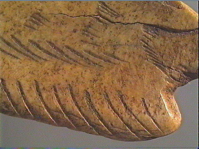 Contour découpé_4