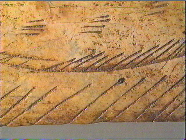 Contour découpé_6