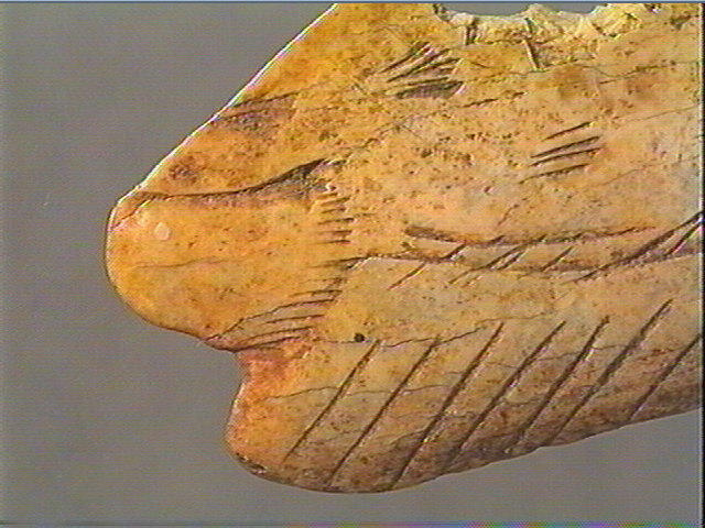 Contour découpé_5