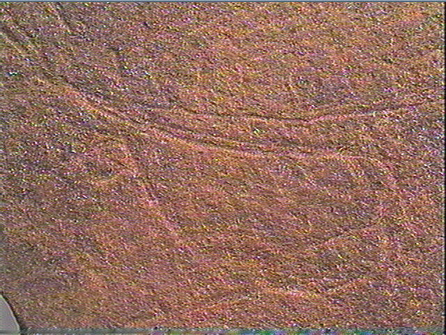 Plaquette (fragment)_6