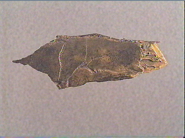 Côte_1