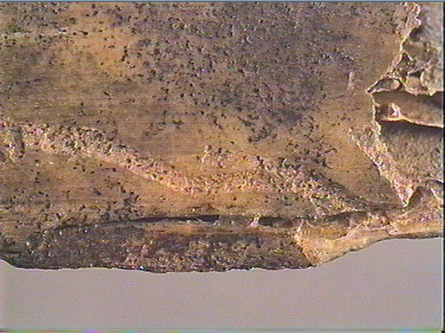 Côte_5
