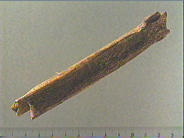 Bâton_2