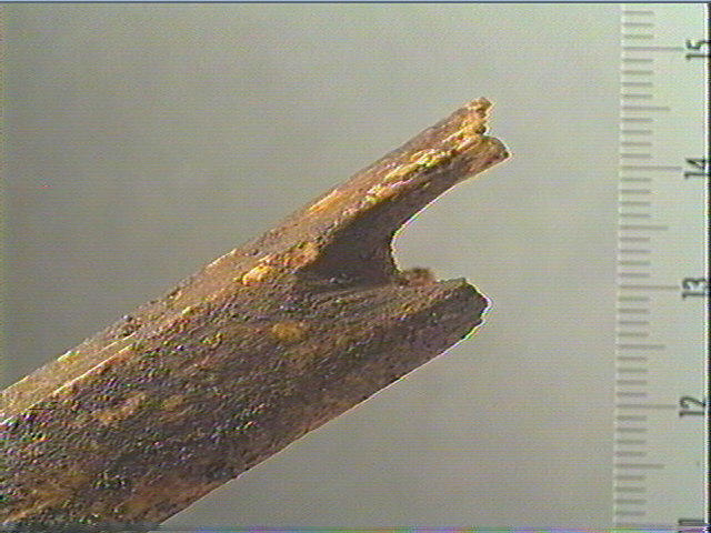 Bâton_3