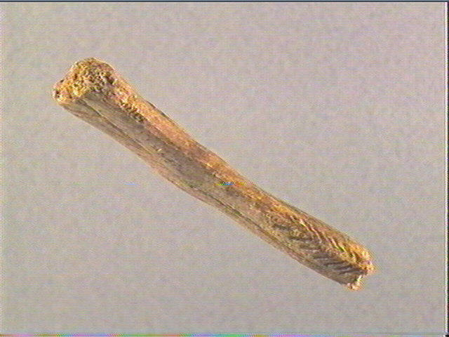 Bâton_1