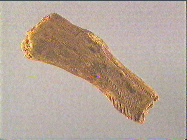 Bâton_2