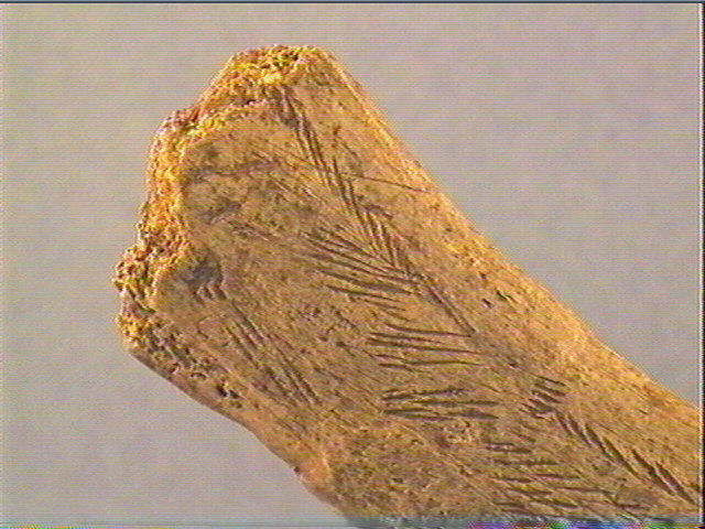 Bâton_5