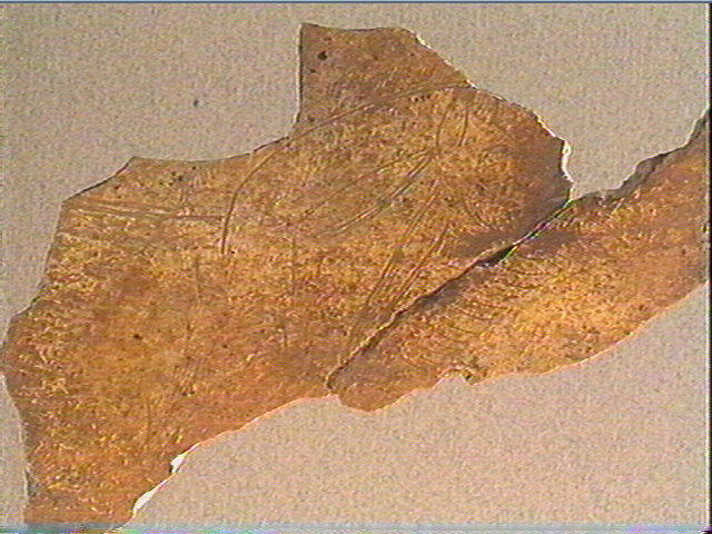 Os crânien_2