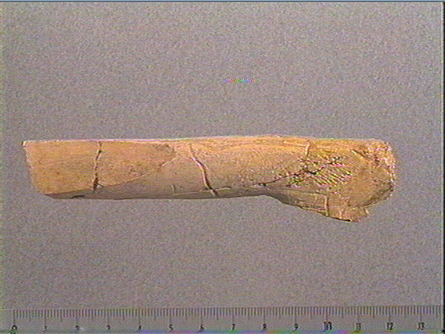 Bâton_0