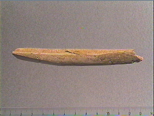 Bâton_1