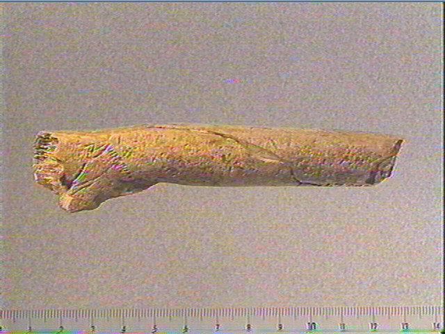Bâton_2
