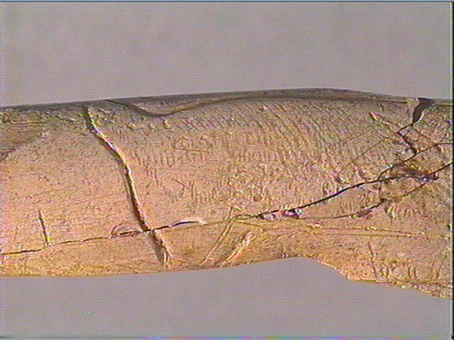 Bâton_4