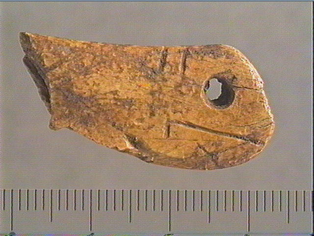 Contour découpé, os hyoïde_0