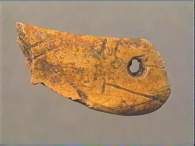 Contour découpé, os hyoïde_2