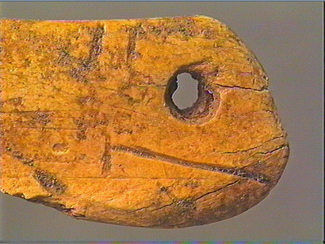 Contour découpé, os hyoïde_4