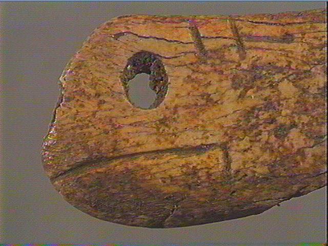 Contour découpé, os hyoïde_5