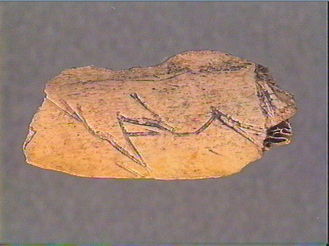 Côte_2