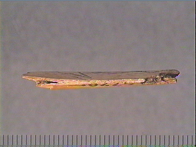Côte_5