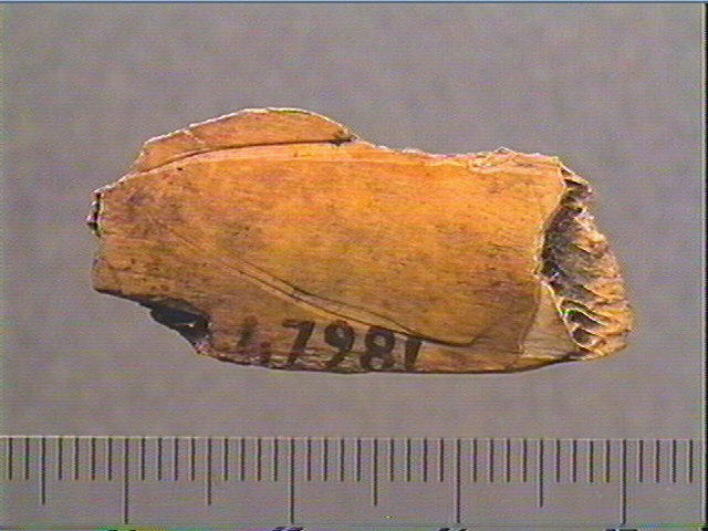 Côte_6