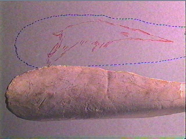 Os indéterminé_3