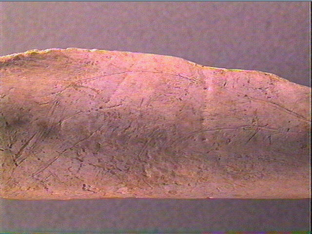 Os indéterminé_5