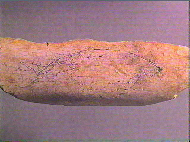 Os indéterminé_3