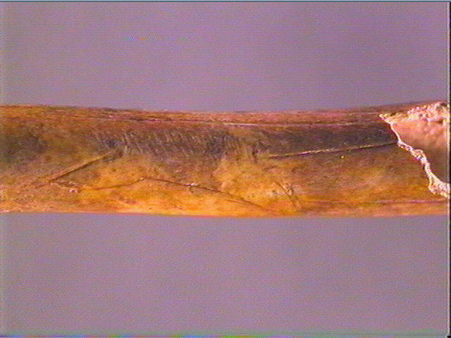 Diaphyse (perforé)_4