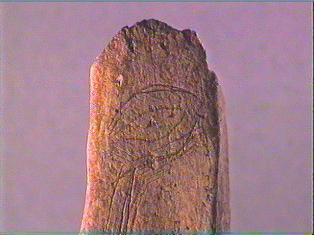 Os indéterminé_3