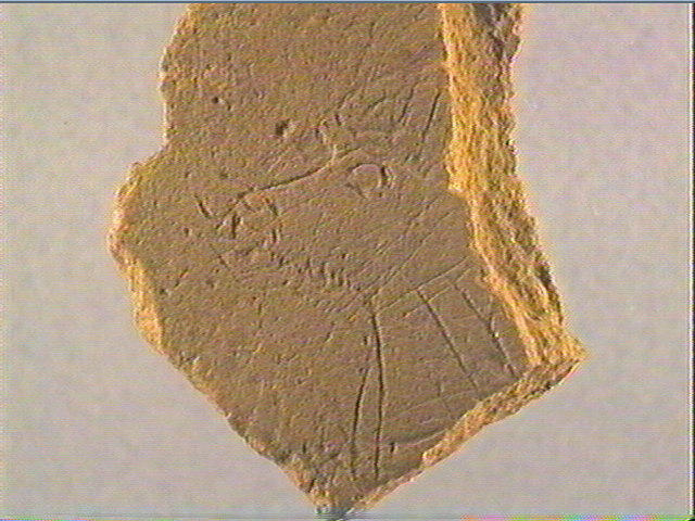 Plaquette (fragment)_4