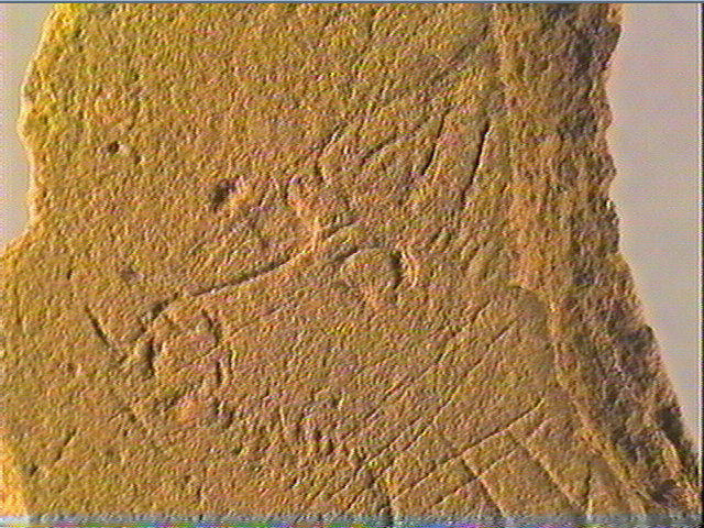 Plaquette (fragment)_6