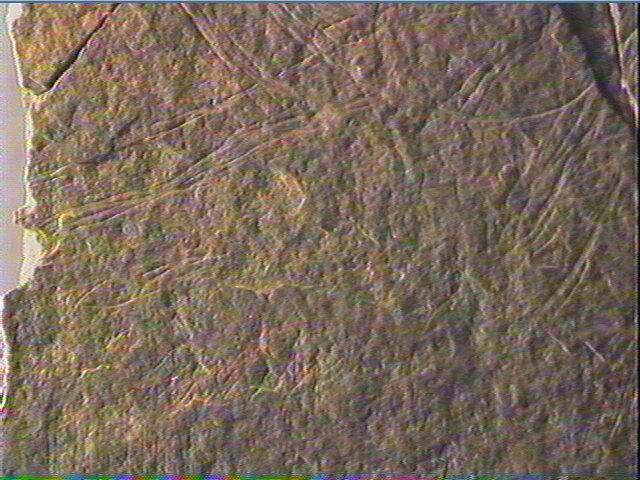Plaquette (fragment, 4)_4