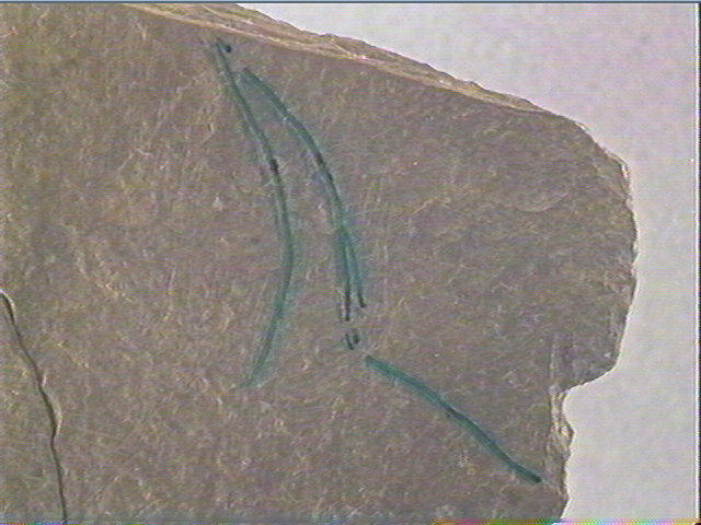 Plaquette (fragment, 4)_6