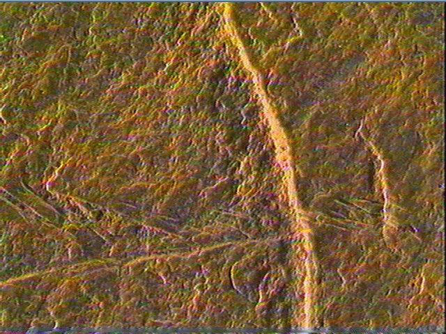 Plaquette (fragment)_5
