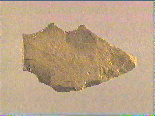 Plaquette (fragment)_1